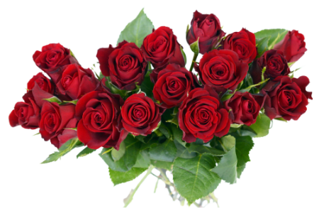 Floral Bouquet PNG