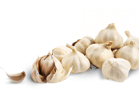 Fresh Garlic PNG