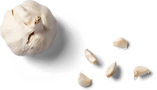Fresh Garlic PNG