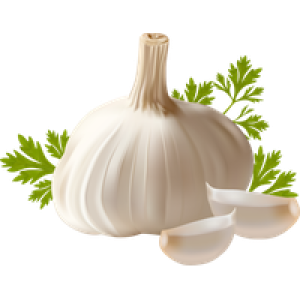 Fresh Garlic PNG