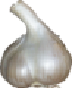 Fresh Garlic PNG