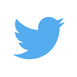 Twiter logo PNG, Twiter transparent background, SocialMedia Icon png