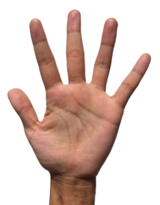 Hand PNG Transparent Image