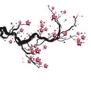 cherry blossom petals,flower,textile   PNG Image File Free Download – Clickpng