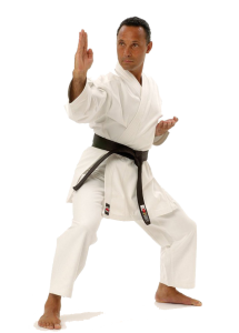 Karate PNG, Transparent Martial Arts Image