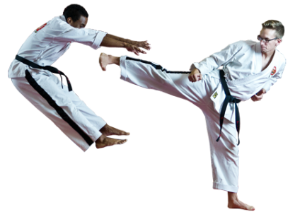 Karate PNG, Transparent Martial Arts Image