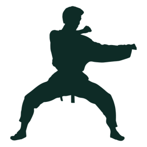 Karate PNG, Transparent Martial Arts Image