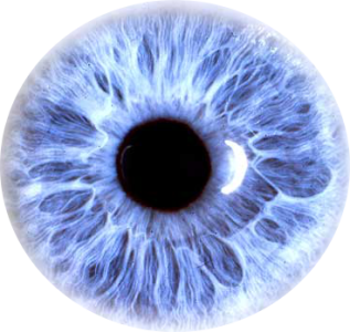 Blue Human Eye Close Up PNG Image