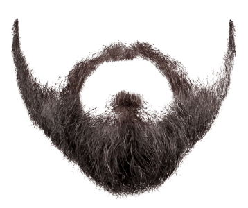 Realistic Brown Beard Texture PNG