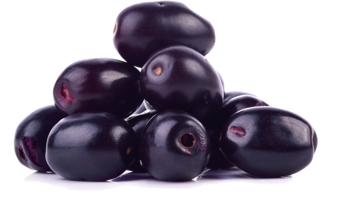 Fresh Purple Java Plum Jamun Fruit PNG