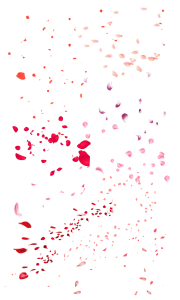 Red Rose Petals Falling Overlay Free PNG