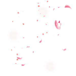 Floating Pink Flower Petals Overlay Transparent Background