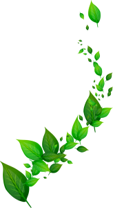 Green Leaves Swirl Border Decoration Free PNG
