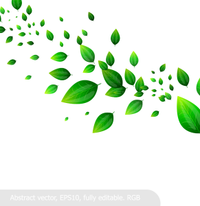 Green Leaves Blowing In The Wind Stream Free PNG