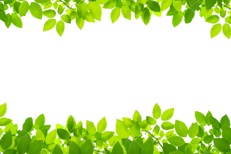 Green Leaves Frame Top And Bottom Border Clipart