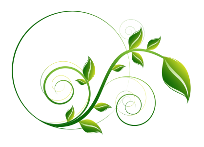 Elegant Green Floral Swirl Circle Frame PNG Image