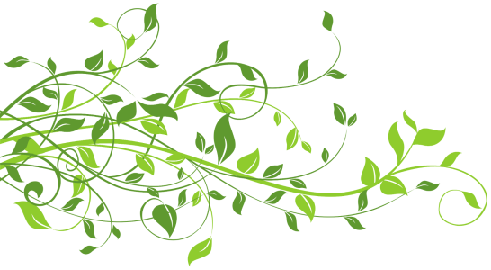 Abstract Green Floral Vines Decoration Free Download