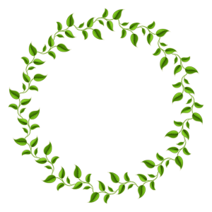 Green Vine Circle Frame Vector Illustration PNG Image