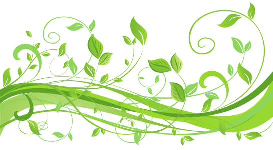 Abstract Green Floral Swirls Decoration Free PNG