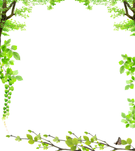 Fresh Green Leaves Corner Frame PNG Image