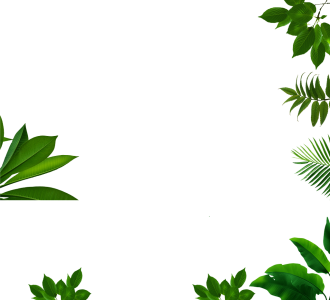 Mixed Tropical Green Leaves Frame Clipart