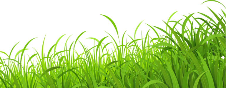 Vector Green Grass Border Clipart