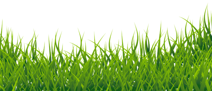 Lush Green Grass Border Free Download