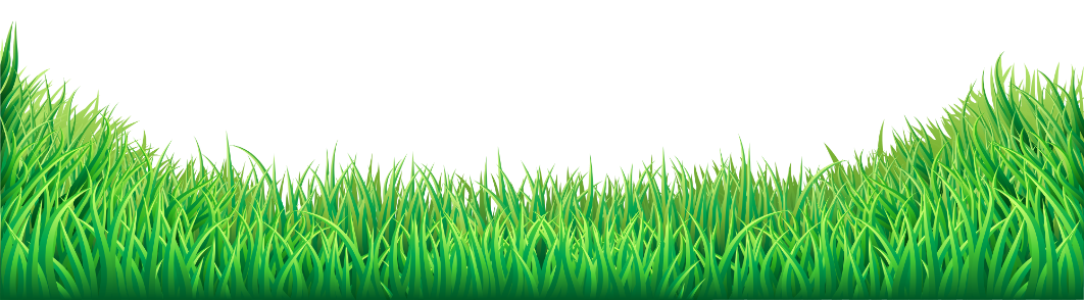 Green Wavy Grass Border Transparent Background