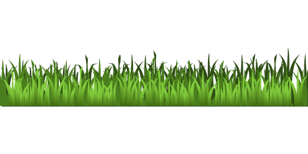 Clean Cut Green Grass Border Clipart