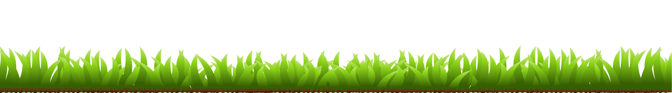 Sharp Green Grass Blades Border PNG Image