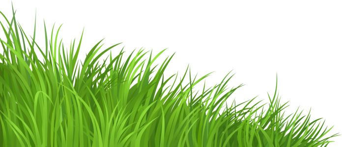 Realistic Meadow Grass Border Free Download