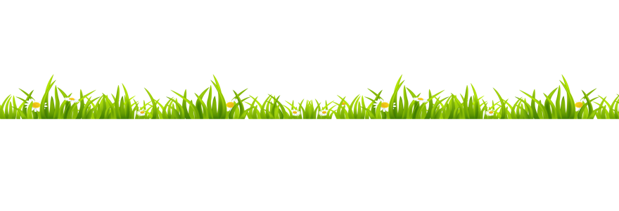 Windy Green Grass Border PNG Image