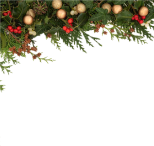 Christmas Pine Garland Border Free PNG