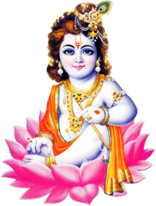 Lord Baby Krishna Sitting on Lotus PNG Image