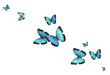 Group of Flying Blue Butterflies Free PNG Image