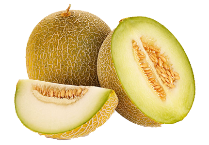Whole and Sliced Galia Melon Fruit Free Download