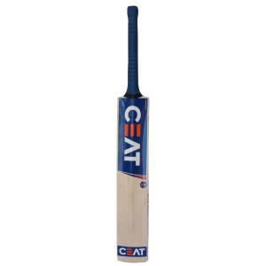 Professional Cricket Bat Sports Equipment Free Download