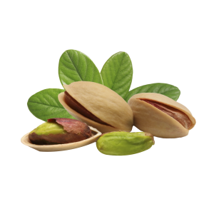 Roasted Pistachio Nuts with Leaves Free Download