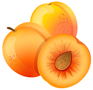 Fresh Apricots And Half Slice Vector PNG Image