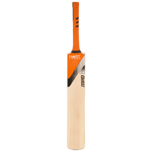 Wooden Cricket Bat Front View Free PNG