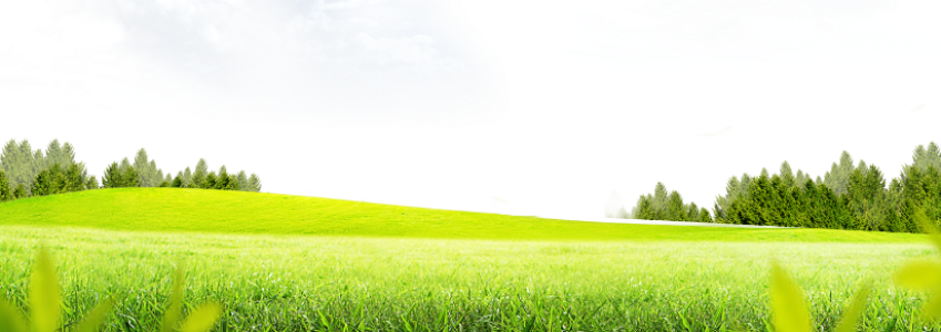 Green Rolling Hills Landscape Free PNG