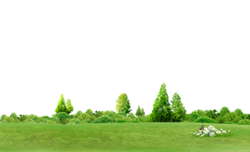 Green Meadow with Wildflowers PNG Image