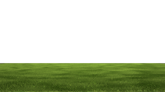 Lush Green Lawn Grass PNG Image