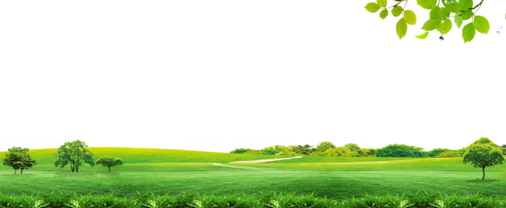 Country Path Through Green Hills Clipart