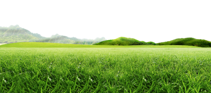 Simple Green Grass Field Clipart