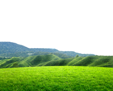 Mountains and Green Meadow Free PNG