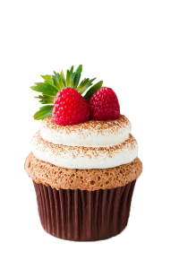 Chocolate Cupcake with Raspberry