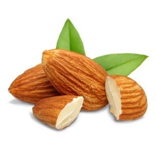Whole Almonds with Green Leaves