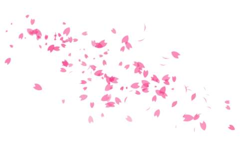 Falling Pink Sakura Petals PNG Image