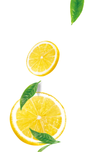 Fruits PNG